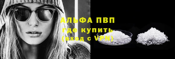 индика Аркадак