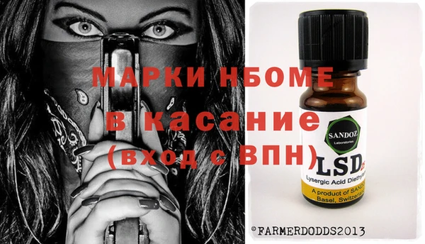 индика Аркадак
