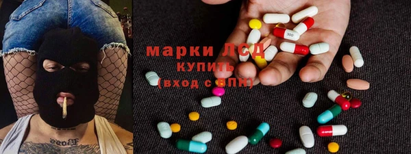 индика Аркадак