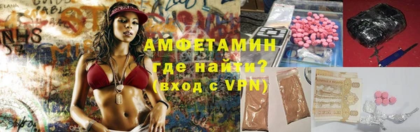 индика Аркадак