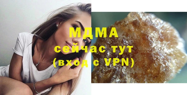 индика Аркадак