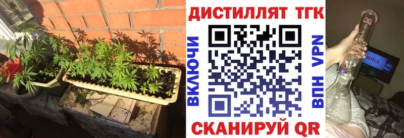 OMG ТОР  Нестеров  ТГК Wax  сколько стоит 